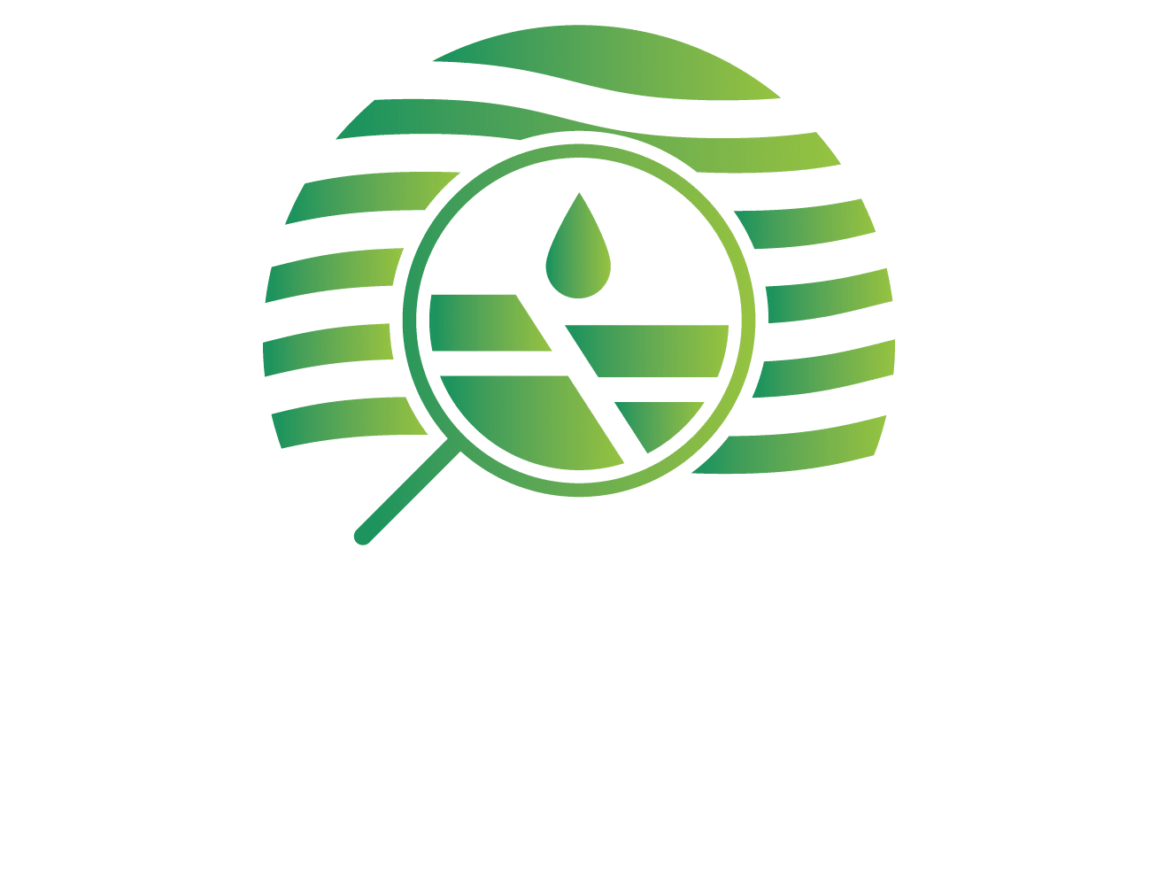 Avada ECO